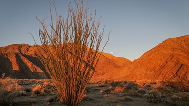 50 States - Dirk Rohrbach: Im Anza Borrego State Park mit seiner grandiosen Wüstenlandschaft. | Bild: BR/Dirk Rohrbach