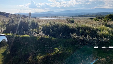 Kenia, Aberdare Range | Bild: BR/Dominik Braun