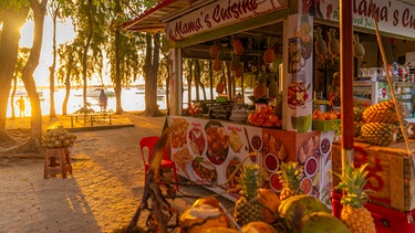 View of coconut and fruit stall in Grand Bay at golden hour, Mauritius, Indian Ocean, Africa, Aufnahmedatum 19.10.2023 | Bild: picture alliance / robertharding | Frank Fell